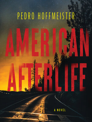 cover image of American Afterlife